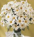 The FTD Daisy Vase