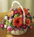 The FTD Floral Burst  Arrangement