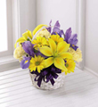 The FTD Spirit of Spring Basket