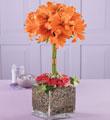 The FTD Sweeter than Ever Bouquet