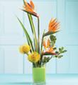 The FTD Tropical Bright Arrangement