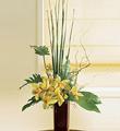 The FTD Touch of Tropics Arrangement