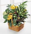The FTD A Bit Of Sunshine Basket