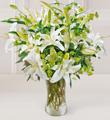 The FTD Lilies and More  Bouquet