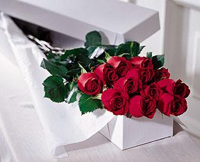 The FTD One Dozen Boxed Roses