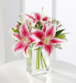 The FTD Pink Lily Bouquet