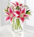 The FTD Pink Lily Bouquet