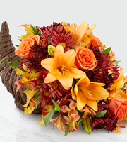 The FTD Harvest Comfort Cornucopia 
