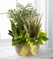 The FTD French Garden 