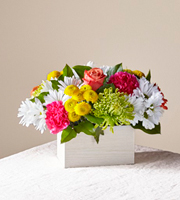 The FTD Sorbet Bouquet