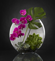 The FTD Defining Moments Luxury Bouquet