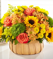 The FTD Harvest Sunflower Basket 