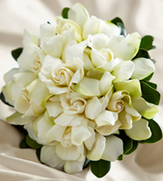 The FTD Champagne Dreams Bouquet