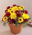 The FTD Autumn Glory Bouquet