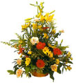 Arrangement of Cut Flowers