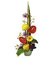 Arrangement of Mixed Cut Flowers