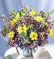 The FTD Fresh as a Daisy  Bouquet