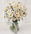The FTD Daisy Vase
