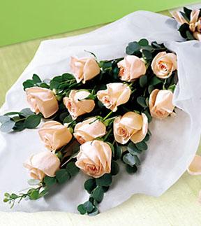 The FTD Delightful Dozen