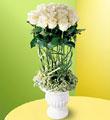 The FTD Pavilion Rose Bouquet