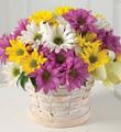 The FTD Sunny Skies Bouquet