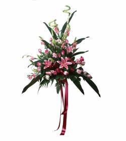 Standing Arrangement