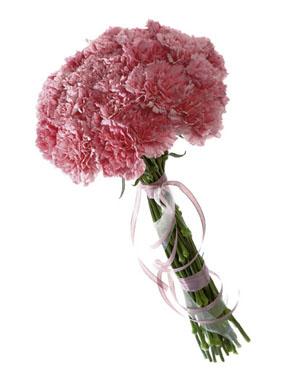 Bouquet of Carnations