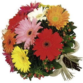 The FTD Gerbera Bouquet