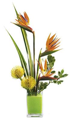 The FTD Tropical Bright Arrangement